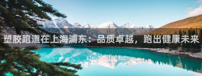谈球吧出款：塑胶跑道在上海浦东：品质卓越，跑出健康未来
