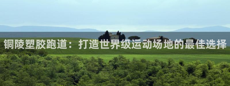 谈球吧体育app官网下载安卓：铜陵塑胶跑道：打造世界级运动场