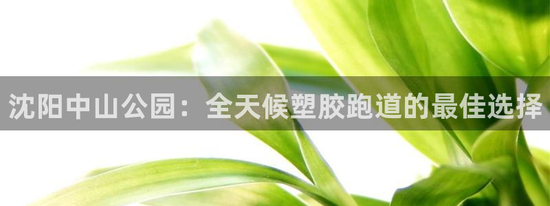 谈球吧平台正规吗