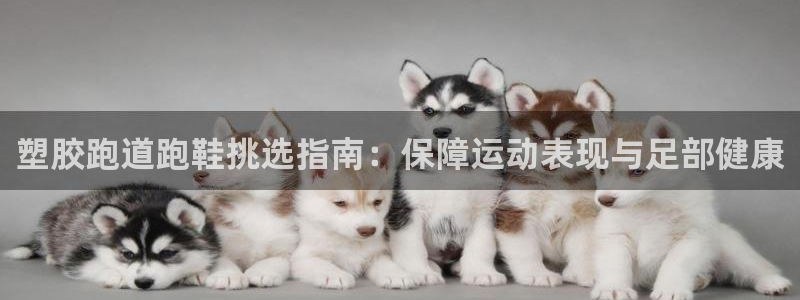 谈球吧APP入口