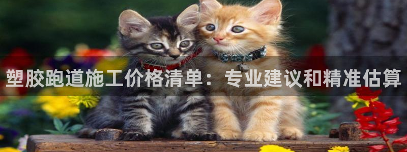 谈球吧是正规平台吗知乎：塑胶跑道施工价格清单：专业建议和精准估算