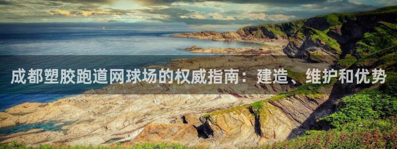 谈球吧app体育下载官网：成都塑胶跑道网球场的权威指南：建造、维护和优势