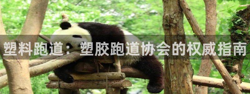 谈球吧真人：塑料跑道：塑胶跑道协会的权威指南