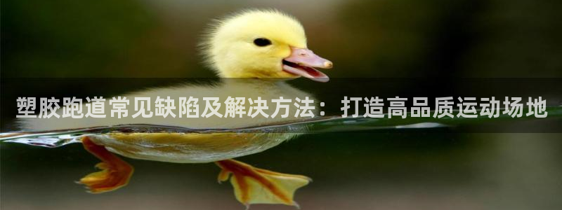 谈球吧在线：塑胶跑道常见缺陷及解决方法：打造高品质运动场地