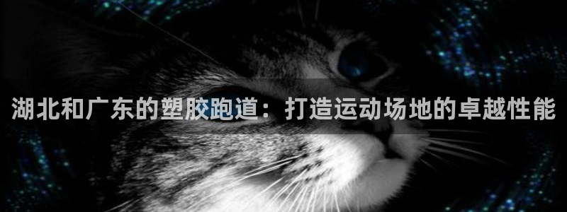 谈球吧体育app下载足球比赛直播：湖北和广东的塑胶跑道：打造运动场地的卓越性能