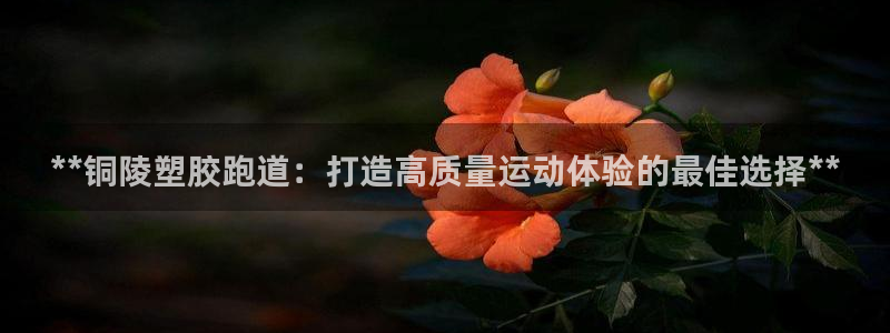 谈球吧平台app下载网址是什么：**铜陵塑胶跑道：打造高质量运动体验的最佳选择**
