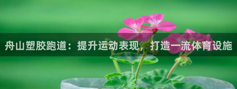 谈球吧的聊天软件有哪些：舟山塑胶跑道：提升运动表现，打造一流体育设施