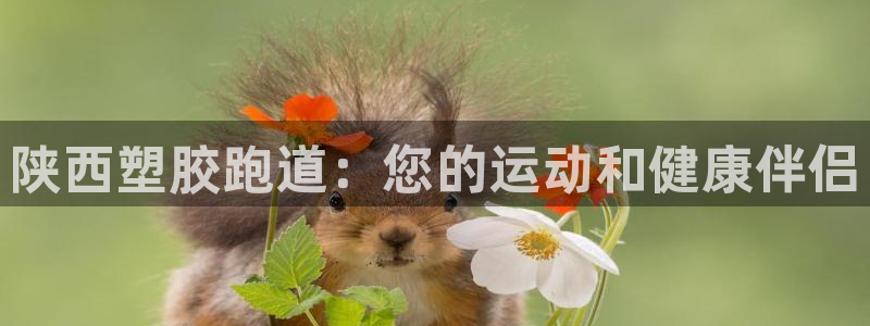 谈球吧买球提现：陕西塑胶跑道：您的运动和健康伴侣