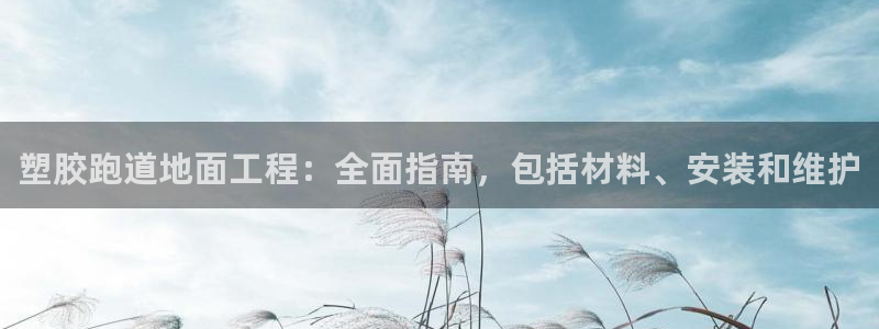 谈球吧娱乐app下载官网苹果手机：塑胶跑道地面工程：全面指南，包括材料、安装和维护