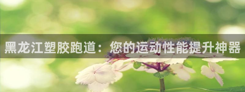 谈球吧体育app下载官网手机版：黑龙江塑胶跑道：您的运动性能提升神器