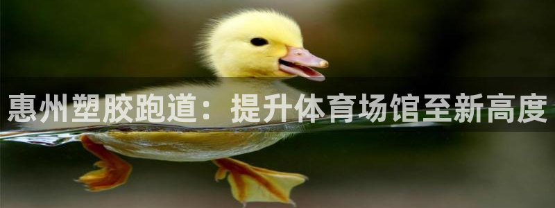 谈球吧是正规平台吗安全吗：惠州塑胶跑道：提升体育场馆至新高度
