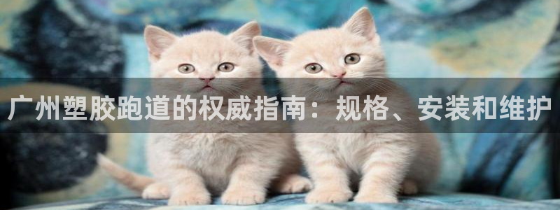 谈球吧体育app登陆：广州塑胶跑道的权威指南：规格、安装和维护