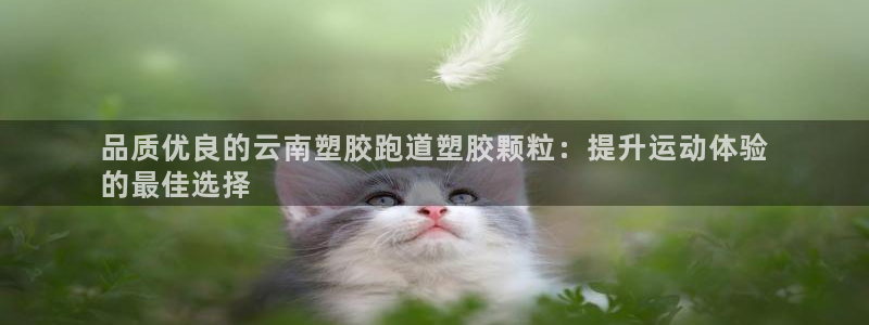 谈球吧不出款：品质优良的云南塑胶跑道塑胶颗粒：提升运动体验
的最佳选择
