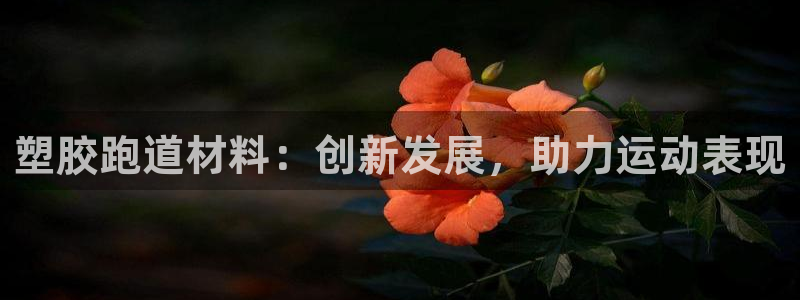 谈球吧官网在线入口免费观看高清：塑胶跑道材料：创新发展，助力运动表现