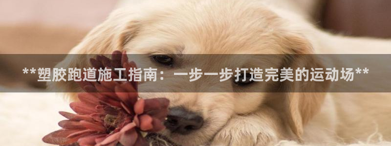 谈球吧官网在线入口免费观看视频：**塑胶跑道施工指南：一步一步打造完美的运动场**
