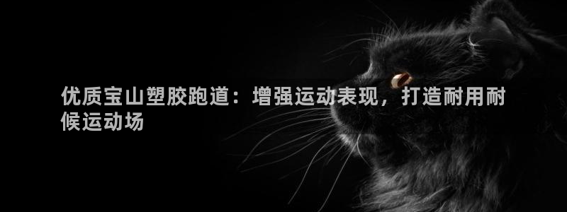 谈球吧官网在线入口网址：优质宝山塑胶跑道：增强运动表现，打造耐用耐
候运动场