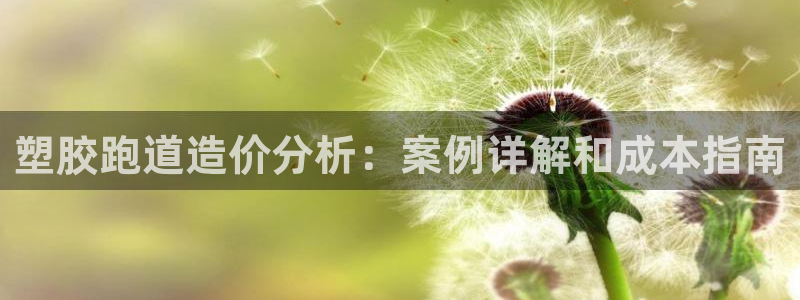 谈球吧体育官方入口：塑胶跑道造价分析：案例详解和成本指南