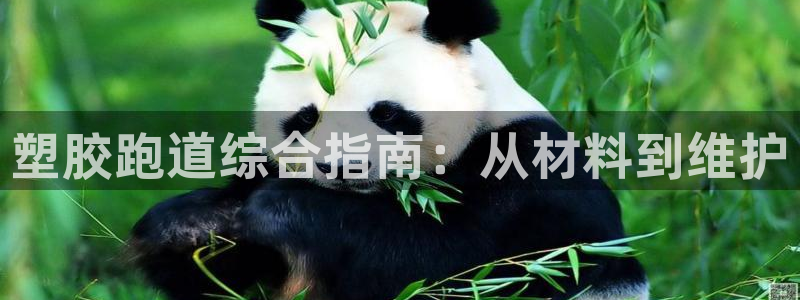 谈球吧APP入口：塑胶跑道综合指南：从材料到维护