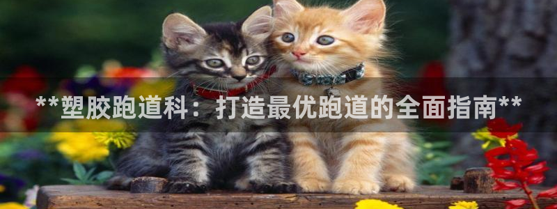 谈球吧官网首页：**塑胶跑道科：打造最优跑道的全面指南**