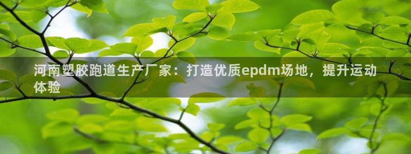 谈球吧论坛：河南塑胶跑道生产厂家：打造优质epdm场地，提升运动
体验