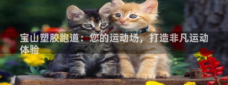 谈球吧app官网：宝山塑胶跑道：您的运动场，打造非凡运动
体验
