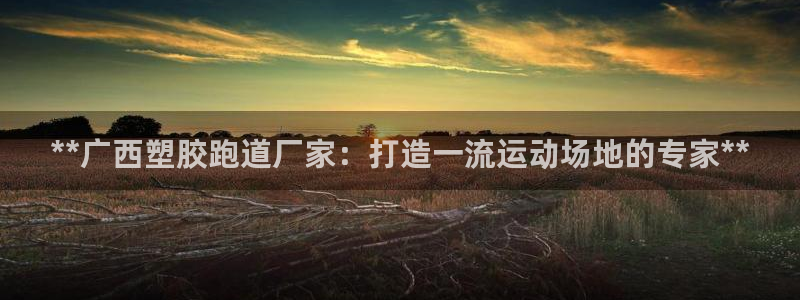 谈球吧咋样：**广西塑胶跑道厂家：打造一流运动场地的
