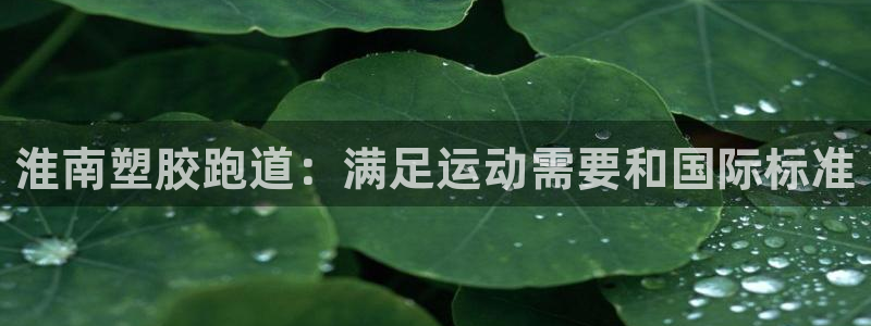 谈球吧的聊天软件叫什么名字：淮南塑胶跑道：满足运动需要和国际标准