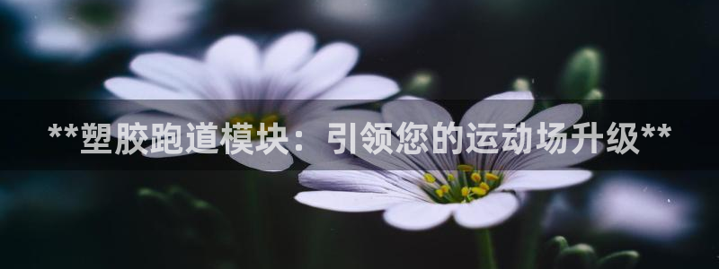 谈球吧app体育下载：**塑胶跑道模块：引领您的运动场升级*