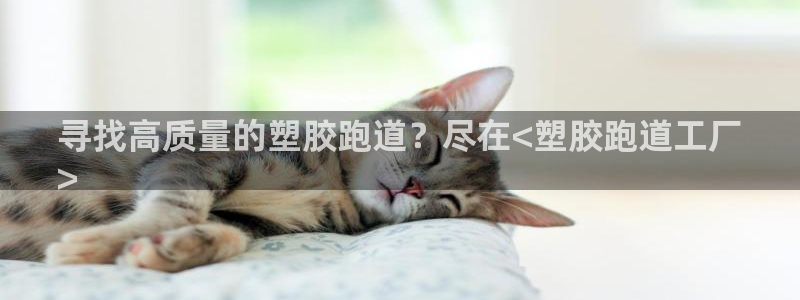 谈球吧登录地址：寻找高质量的塑胶跑道？尽在<塑胶跑道工厂
>