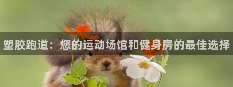 谈球吧体育app下载官网安卓：塑胶跑道：您的运动场馆
