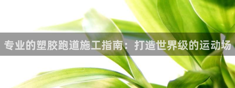谈球吧官网app下载：专业的塑胶跑道施工指南：打造世