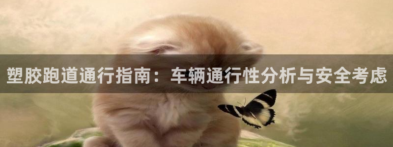 谈球吧体育在线：塑胶跑道通行指南：车辆通行性分析与安