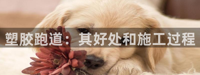 谈球吧tvt：塑胶跑道：其好处和施工过程