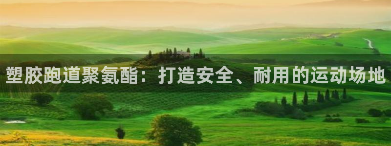 谈球吧体育综合台：塑胶跑道聚氨酯：打造安全、耐用的运