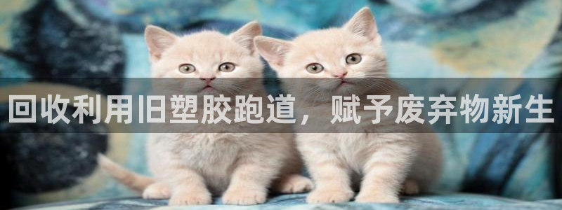 谈球吧娱乐app下载官网苹果版：回收利用旧塑胶跑道，赋予废弃物新生