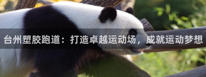 谈球吧体育app下载官网苹果版：台州塑胶跑道：打造卓