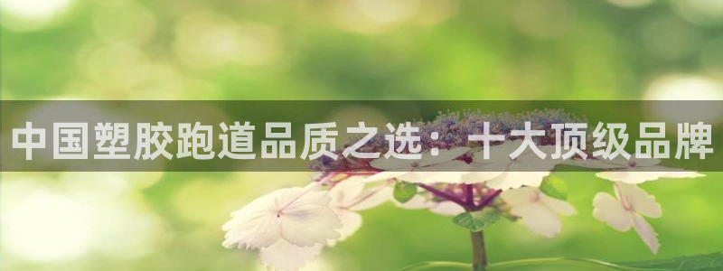 谈球吧在线登录：中国塑胶跑道品质之选：十大顶级品牌