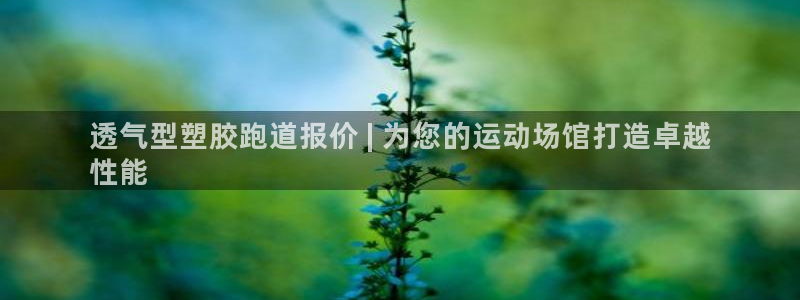 谈球吧首页：透气型塑胶跑道报价 | 为您的运动场馆打