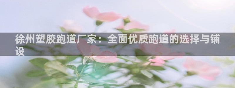 谈球吧买球提现：徐州塑胶跑道厂家：全面优质跑道的选择