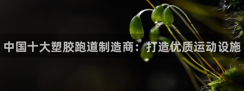谈球吧首充金额截图：中国十大塑胶跑道制造商：打造优质