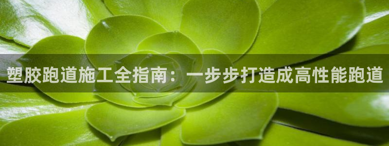 谈球吧官网在线入口免费观看高清：塑胶跑道施工全指南：
