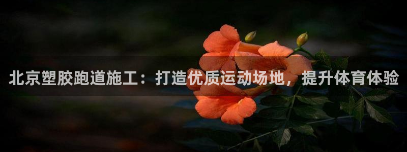 谈球吧官网在线入口手机版下载：北京塑胶跑道施工：打造