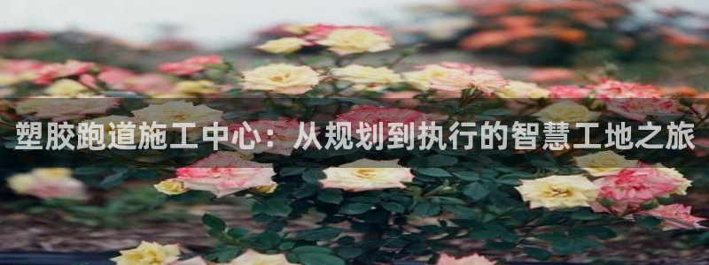 谈球吧体育app下载