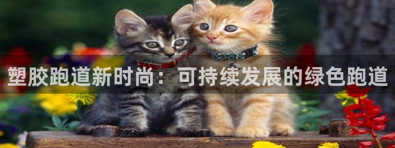 谈球吧app赛事分析在哪里看