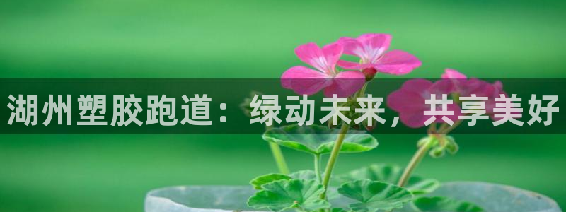 谈球吧体育app下载中心官方网站