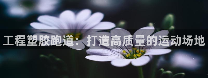 谈球吧官网在线入口免费观看高清