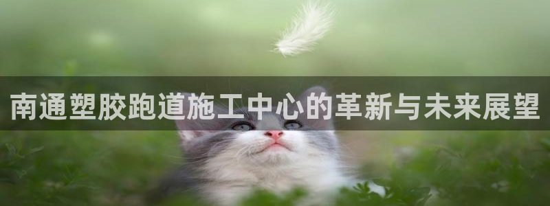 谈球吧官网在线入口免费观看