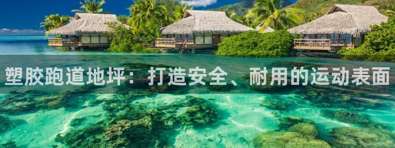 谈球吧app官网下载：塑胶跑道地坪：打造安全、耐用的