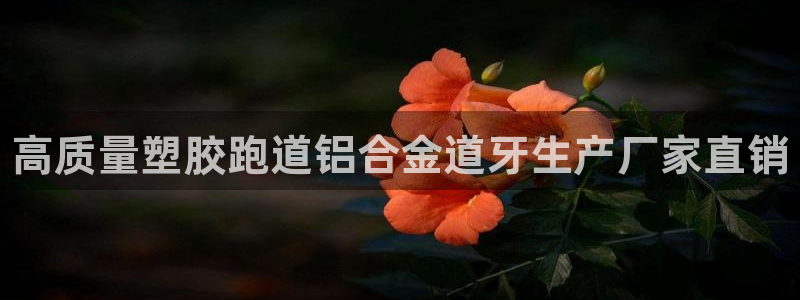 谈球吧体育综合台：高质量塑胶跑道铝合金道牙生产厂家直