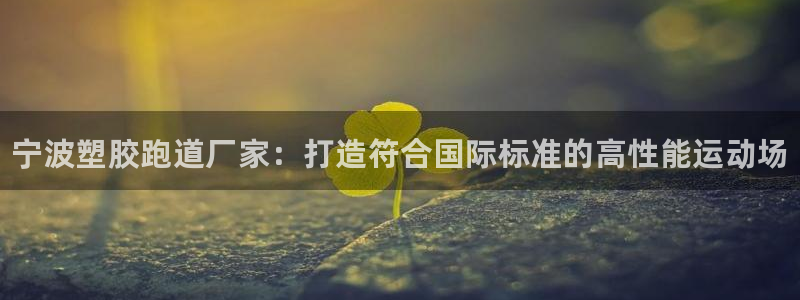 谈球吧不出款：宁波塑胶跑道厂家：打造符合国际标准的高